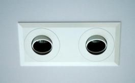 OCTO 50 downlight